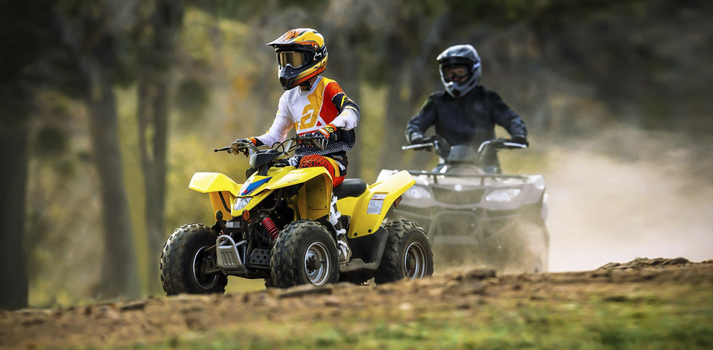 quadsport z50