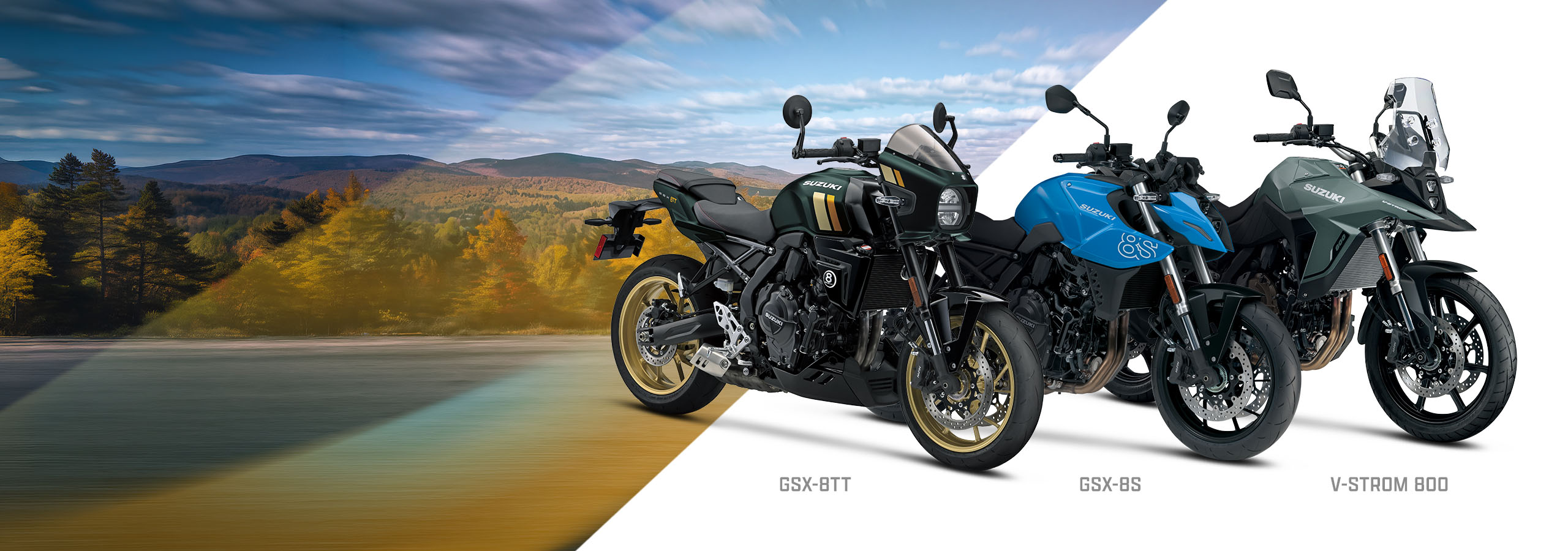 Suzuki Cycles